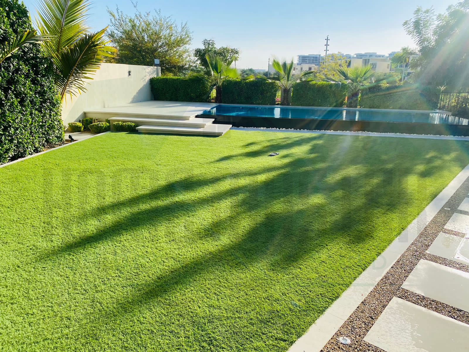 Grass project 1
