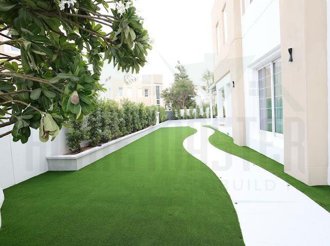 Grass project 3